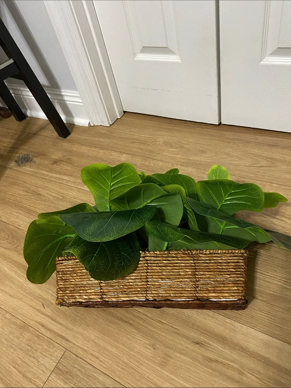 Fiddle Leaf Fig faux 15” plants in basket
